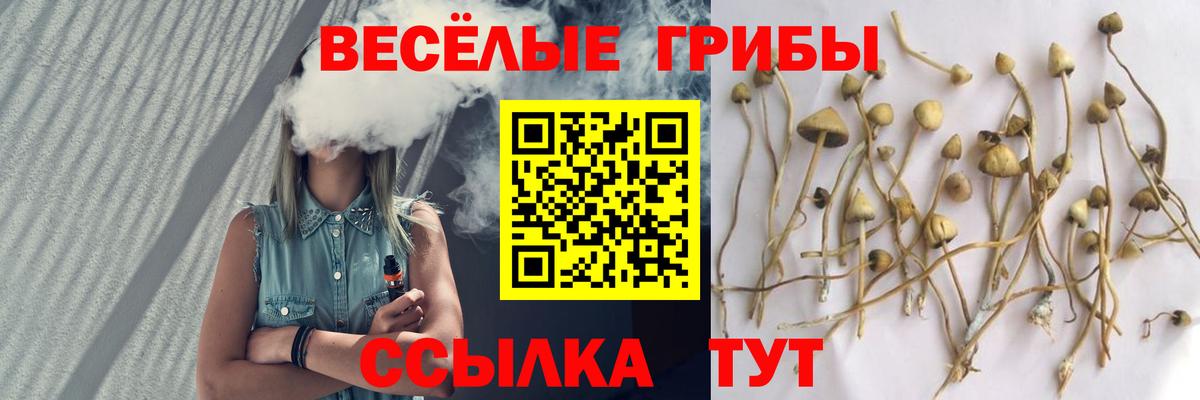 Каменск-Уральский  Галлюциногенные грибы Psilocybe  Вход с VPN  Псилоцибиновые грибы прущие грибы 